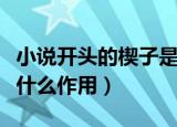 小说开头的楔子是什么意思（楔子在小说中起什么作用）