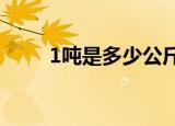 1吨是多少公斤（1吨是1000公斤）