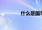 什么是国骂（国骂是什么）