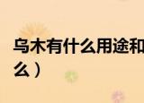 乌木有什么用途和价值（乌木用途和价值是什么）