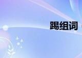 踢组词（踢如何组词）