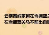 云横秦岭家何在雪拥蓝关马不前是什么意思（云横秦岭家何在雪拥蓝关马不前出自哪）