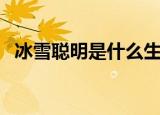 冰雪聪明是什么生肖（冰雪聪明是兔子吗）