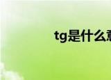 tg是什么意思（tg的意思）