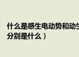 什么是感生电动势和动生电动势（感生电动势和动生电动势分别是什么）