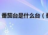 番茄台是什么台（番茄台指的是哪个电视台）