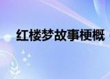 红楼梦故事梗概（红楼梦故事梗概简述）
