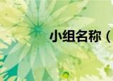 小组名称（小组名称有哪些）