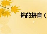 钻的拼音（钻的拼音是什么）