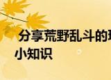  分享荒野乱斗的玩法及荒野乱斗的一些游戏小知识