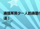 遍插茱萸少一人的遍是什么意思（遍插茱萸少一人原文及翻译）