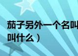 茄子另外一个名叫什么（茄子另外一个名具体叫什么）