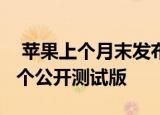  苹果上个月末发布了iOS13和iPadOS的第一个公开测试版