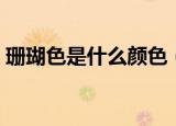 珊瑚色是什么颜色（珊瑚色是鲜艳的颜色吗）