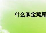 什么叫金鸡尾（金鸡尾是药材吗）