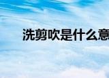 洗剪吹是什么意思（原来是这个意思）