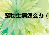 宠物生病怎么办（宠物生病了应该这样做）