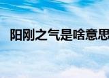 阳刚之气是啥意思（阳刚之气是什么意思）