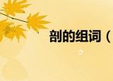 剖的组词（剖的组词有哪些）