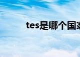 tes是哪个国家的战队（tes介绍）