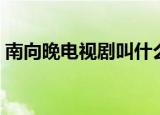 南向晚电视剧叫什么名字（南向晚角色介绍）