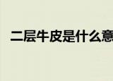 二层牛皮是什么意思（二层牛皮是指什么）