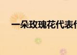一朵玫瑰花代表什么（玫瑰代表的含义）