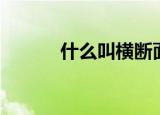 什么叫横断面（横断面的解释）