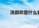 洗剪吹是什么意思（洗剪吹的意思）