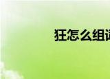 狂怎么组词（狂如何组词）