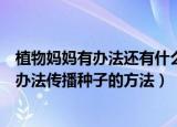 植物妈妈有办法还有什么传播种子的方法（植物妈妈有什么办法传播种子的方法）