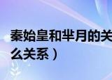 秦始皇和芈月的关系是什么（芈月跟秦始皇什么关系）