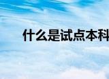 什么是试点本科（关于试点本科介绍）