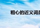 粗心的近义词是什么（粗心的意思）