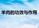 羊肉的功效与作用（羊肉的功效与作用汇总）
