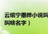 云绾宁墨晔小说叫什么名字（云绾宁墨晔小说叫啥名字）