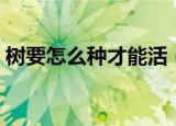 树要怎么种才能活（树要怎么种才能活得好）