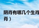 阴肖有哪几个生肖（十二生肖中阴肖是指哪几肖）