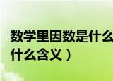 数学里因数是什么意思（小学数学中的因数是什么含义）