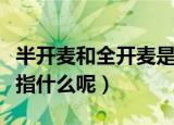 半开麦和全开麦是什么意思（半开麦和全开麦指什么呢）