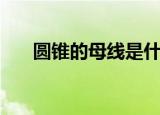 圆锥的母线是什么（圆锥的母线介绍）