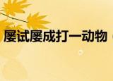 屡试屡成打一动物（屡试屡成打一动物名称）