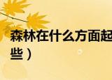 森林在什么方面起重要作用（森林的作用有哪些）