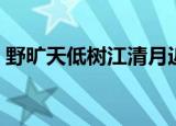 野旷天低树江清月近人的意思（原文及译文）