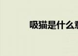 吸猫是什么意思（吸猫的含义）