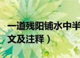 一道残阳铺水中半江瑟瑟半江红意思（全诗译文及注释）