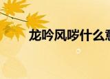 龙吟风哕什么意思（龙吟风哕造句）