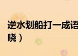 逆水划船打一成语（逆水划船打一成语谜底揭晓）