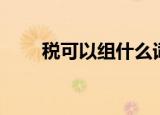 税可以组什么词（汉字税怎么组词）