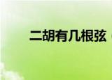 二胡有几根弦（二胡一共有几根弦）